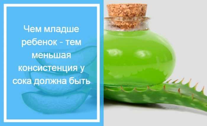 Рецепты
