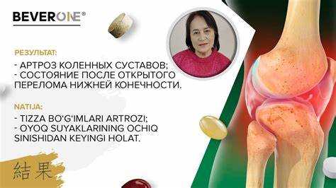 Основные