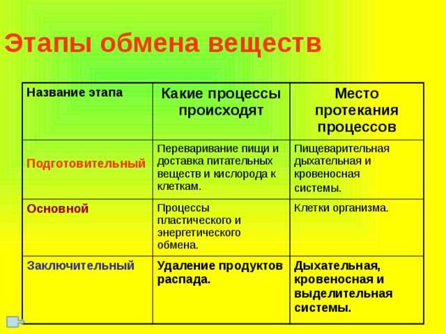 Как возраст влияет на скорость метаболизма