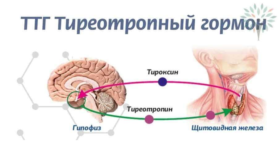 Регуляция