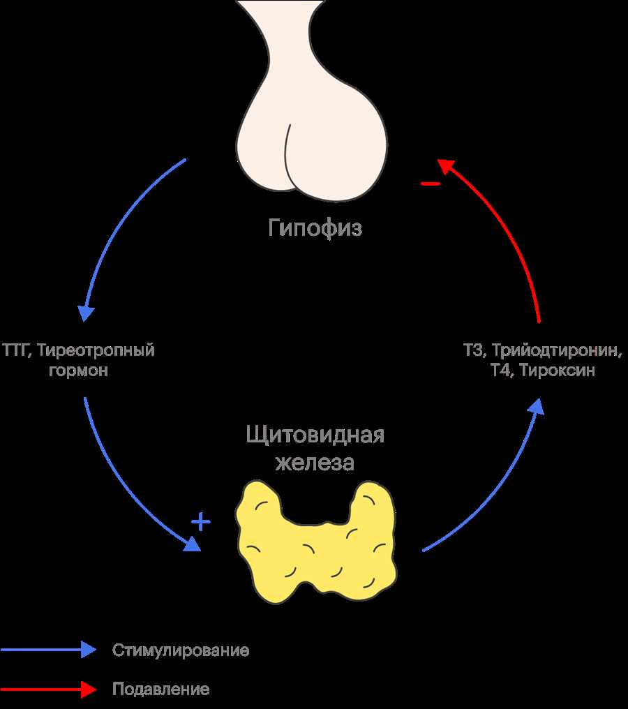 Влияние