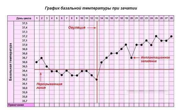 Возможные
