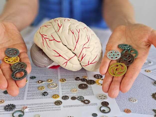 Соответствие лобной доли и функций мозга в контексте функционирования