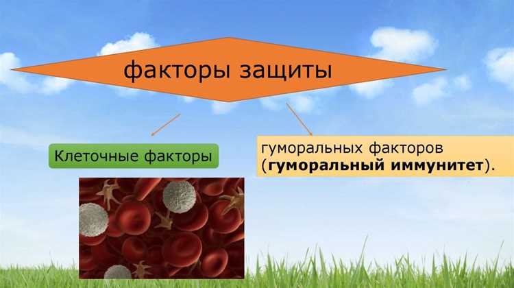 Механизмы действия клеток неспецифического иммунитета