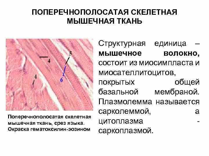 Заболевания