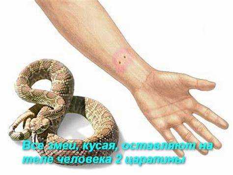 Правильные