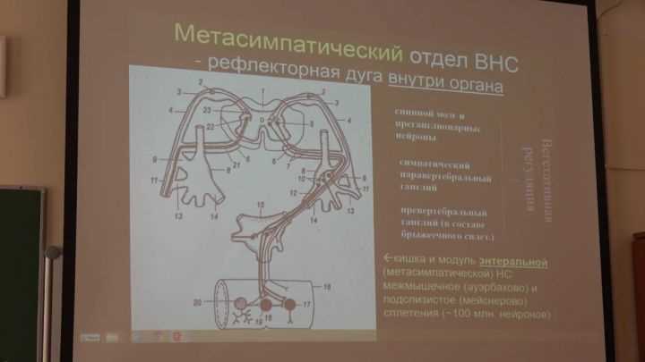 Связь вегетативных реакций и эмоционального состояния