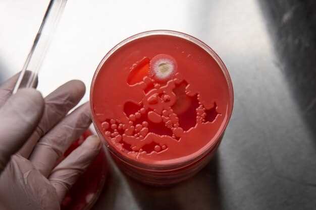 Морфология и структура паразита Leishmania donovani
