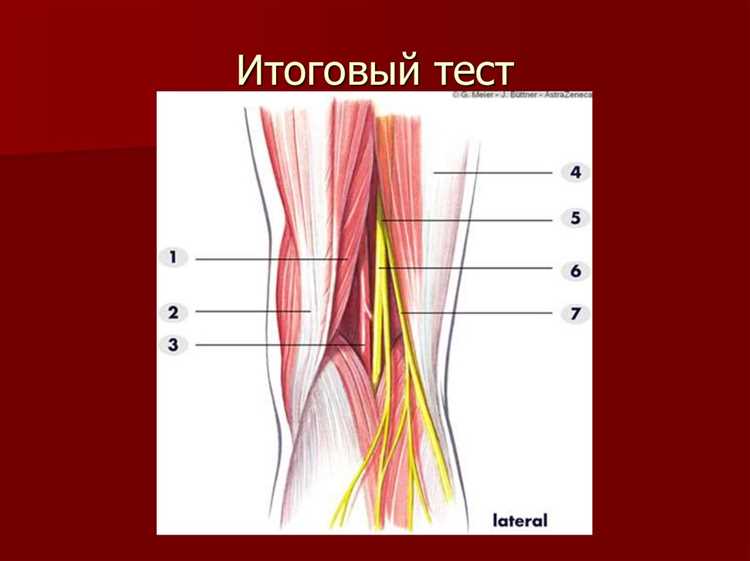 Травмы данной зоны: топографическая диагностика