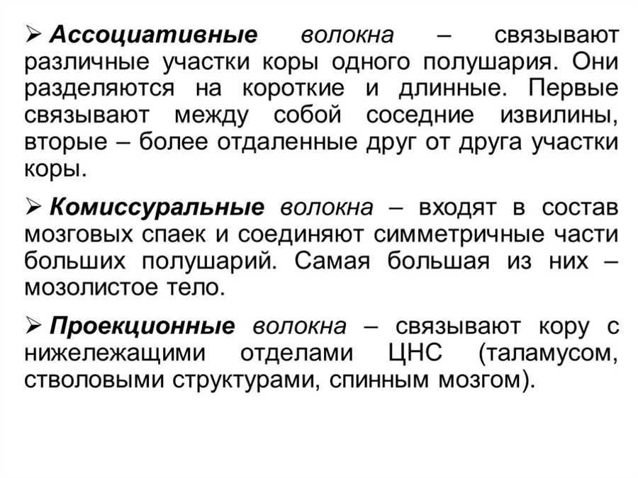 Точка