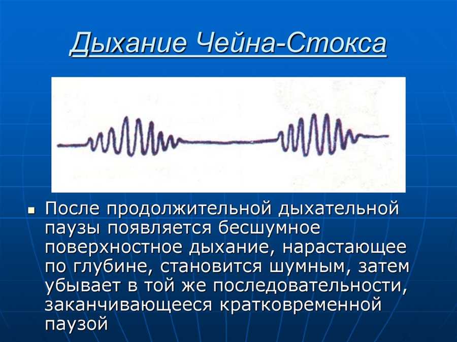 Профилактика