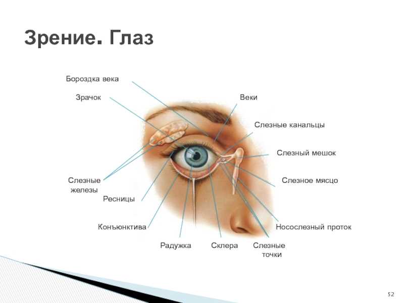Профилактика