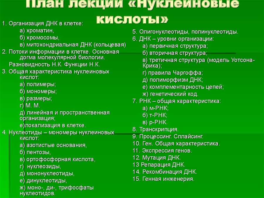 ДНК