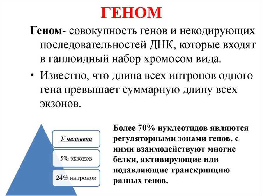 Роль