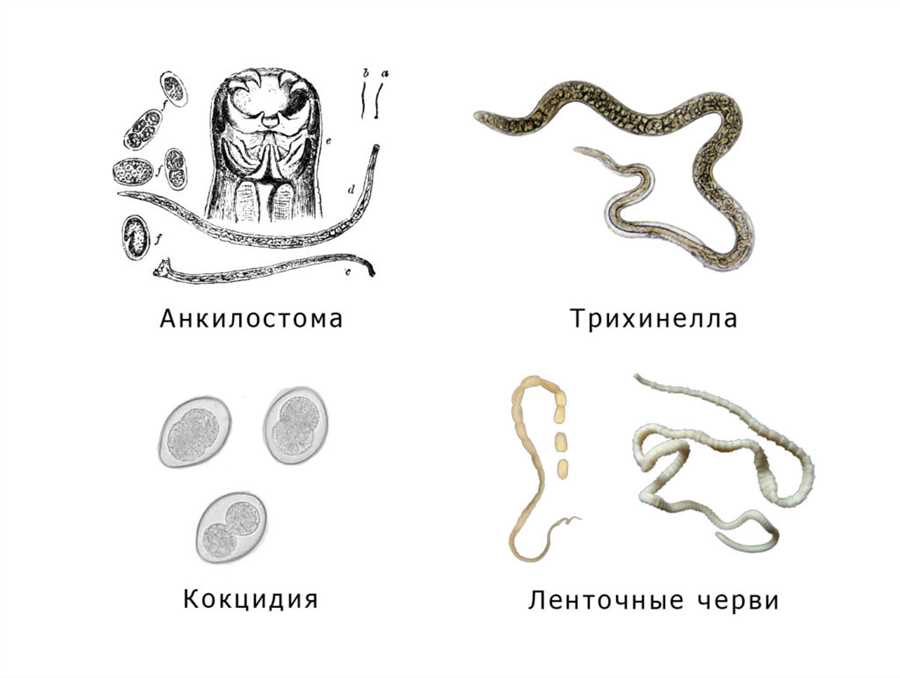 Симптомы