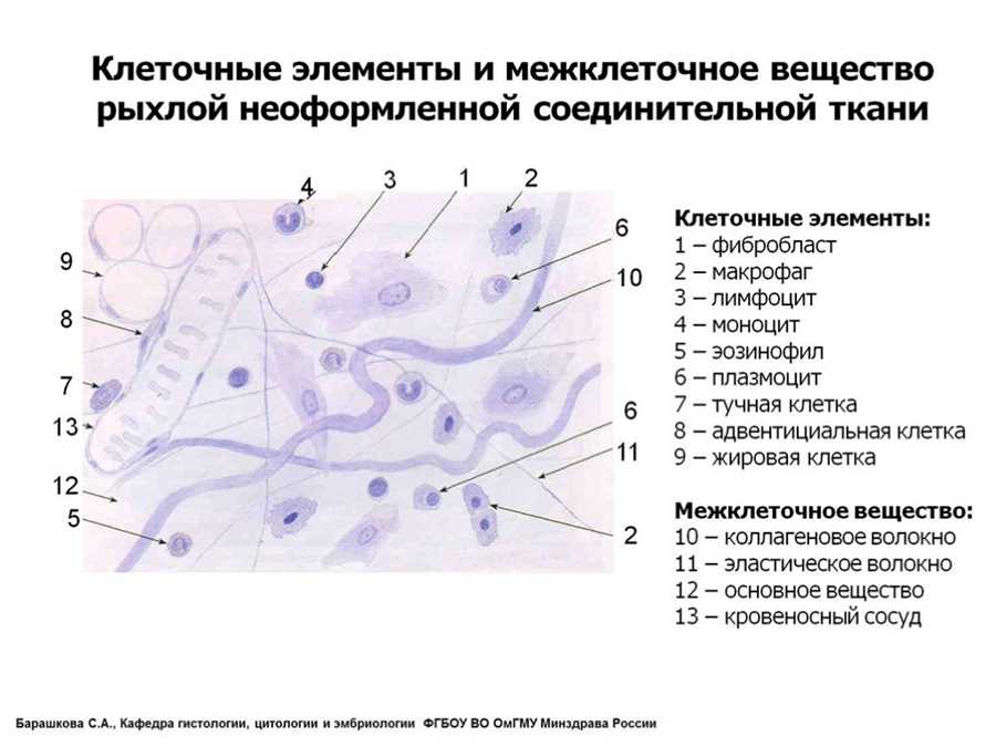 Матриксная