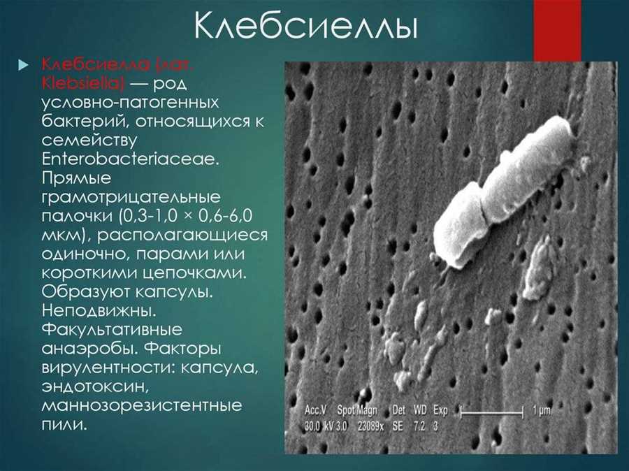 Диагностика
