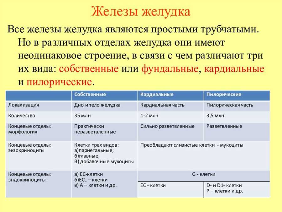 Регенерация