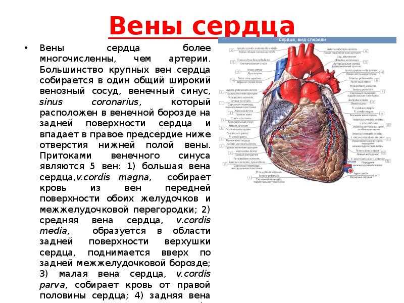 Статистика