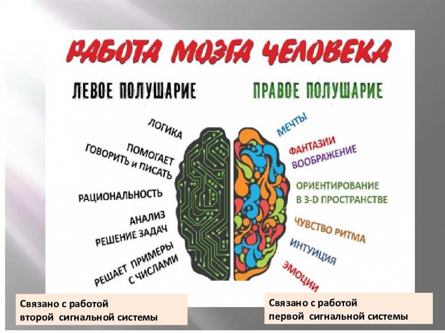 Ответственность