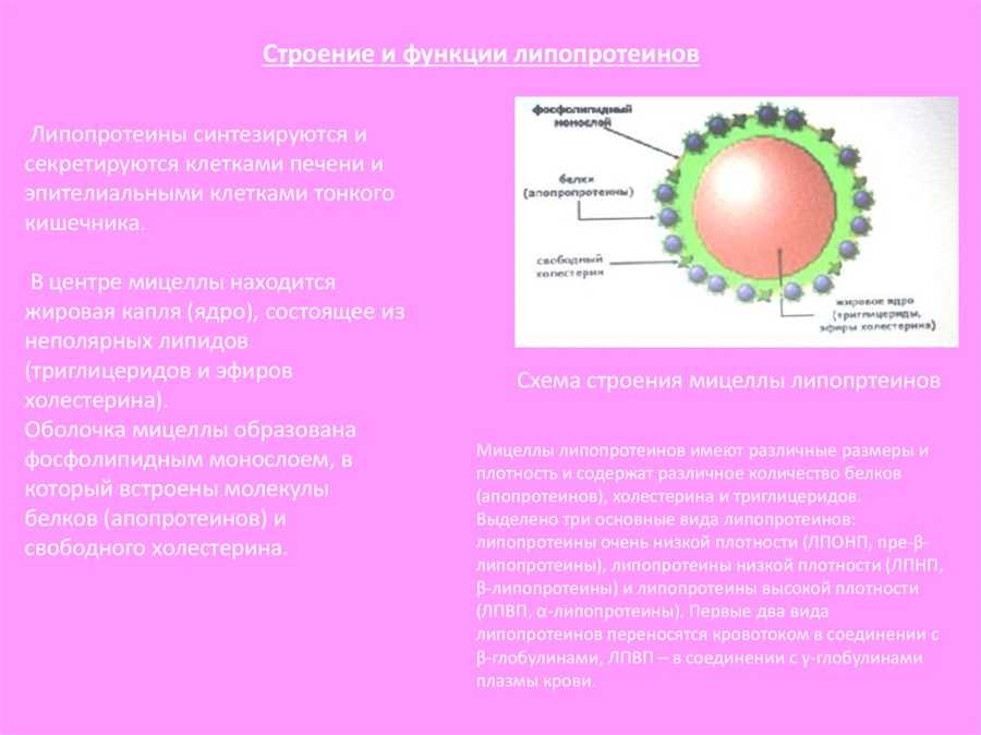 Структура