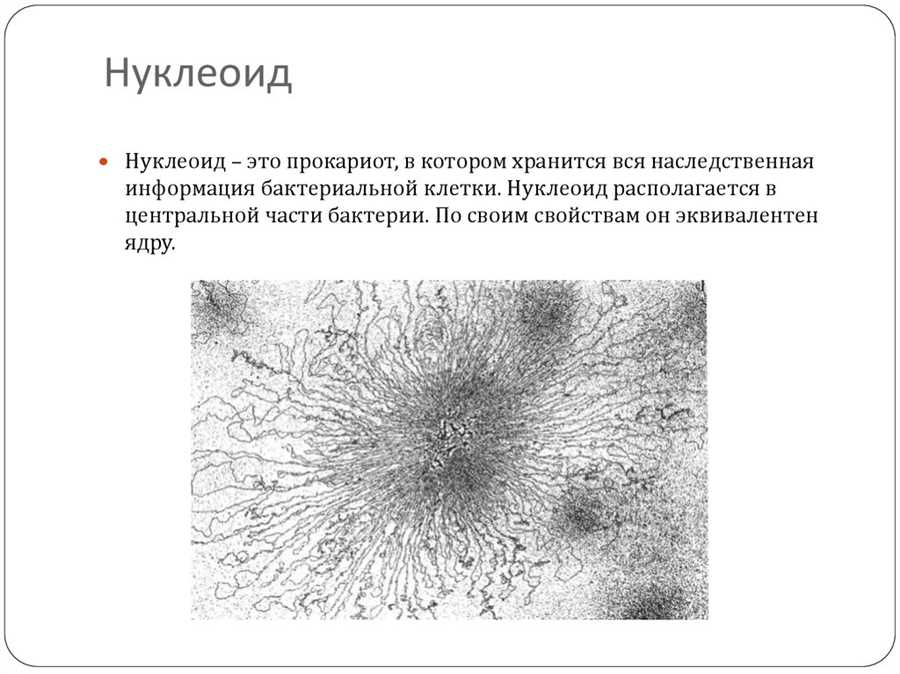Функции