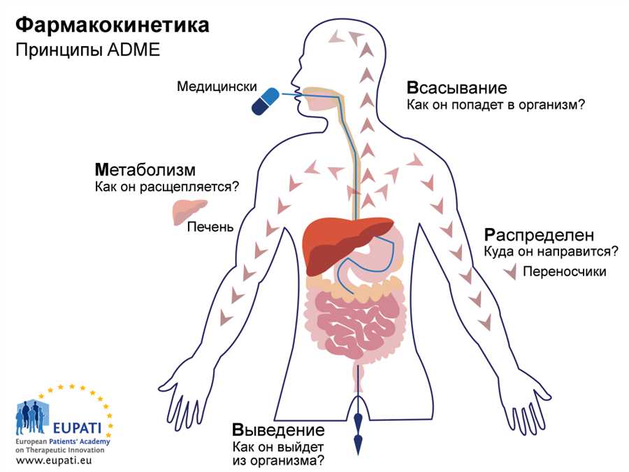 Транспорт