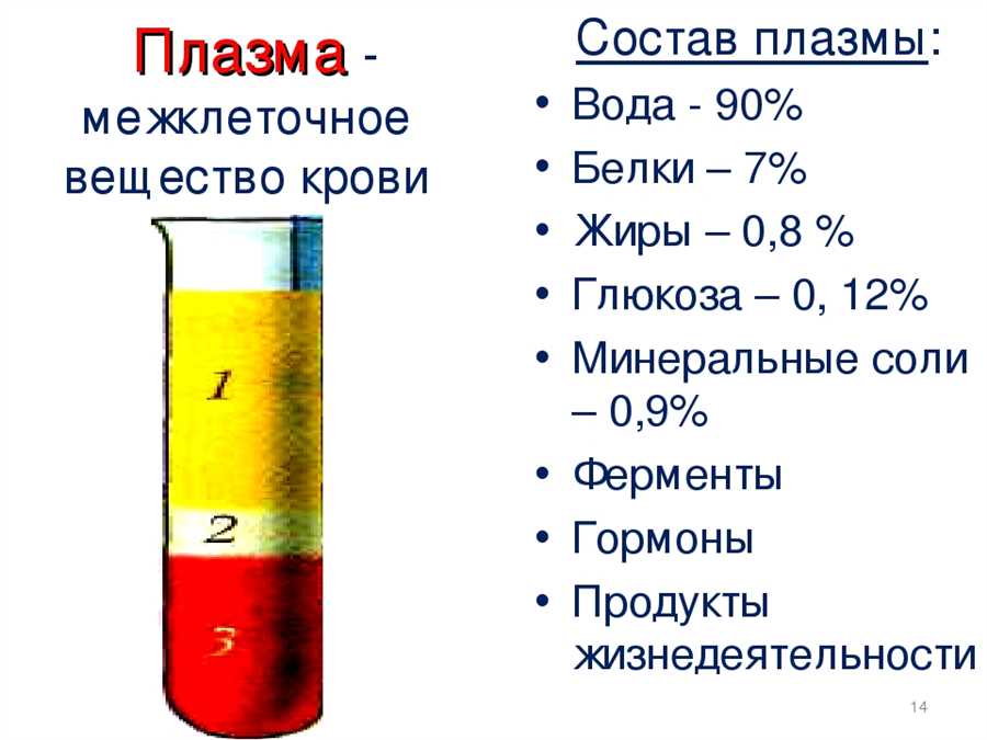 Структура