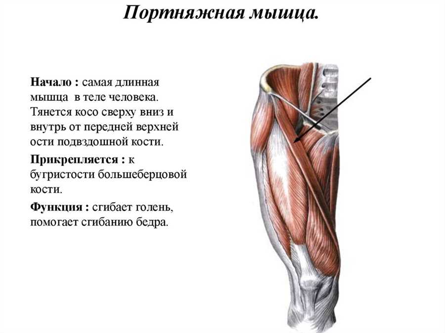 Функции