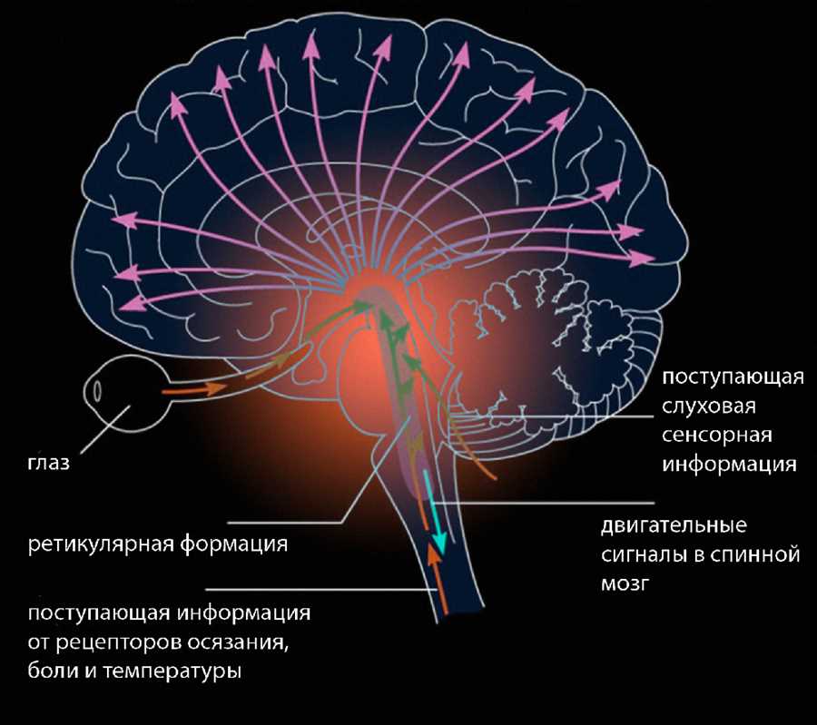 Основные