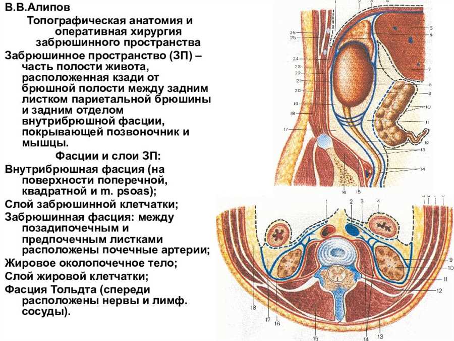 Топография