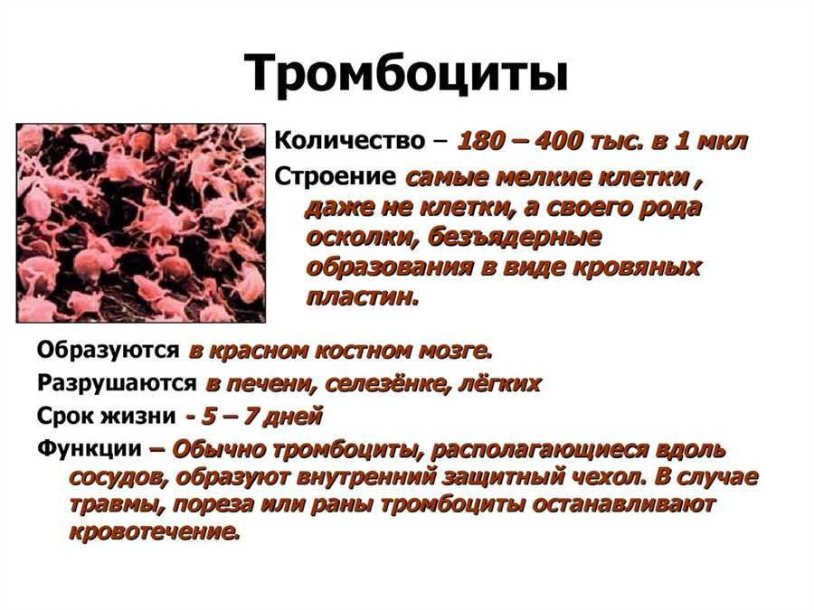 Основные