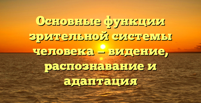 Основные функции зрительной системы человека — видение, распознавание и адаптация