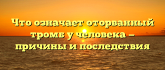 Что означает оторванный тромб у человека — причины и последствия